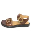 Angulus 5746-101 Brun