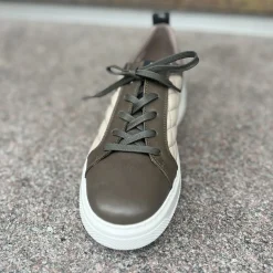 DLSport 5412 Grøn-Taupe Dame Sneaker