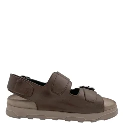 Lofina 1E-242 Brun
