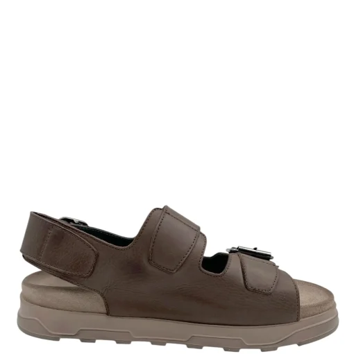 Lofina 1E-242 Brun