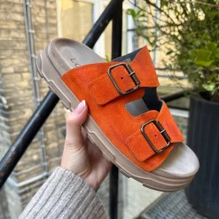 Lofina 1E-240 Orange