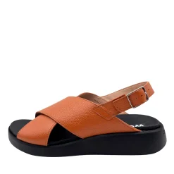 Wonders C-6540 Camel