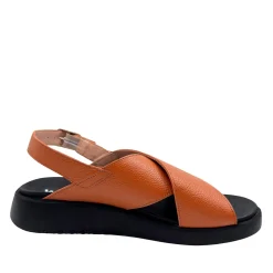 Wonders C-6540 Camel
