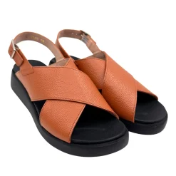 Wonders C-6540 Camel