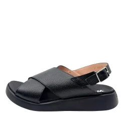 Wonders C-6540 Sort
